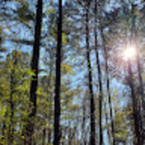 Meet your Posher, Charise